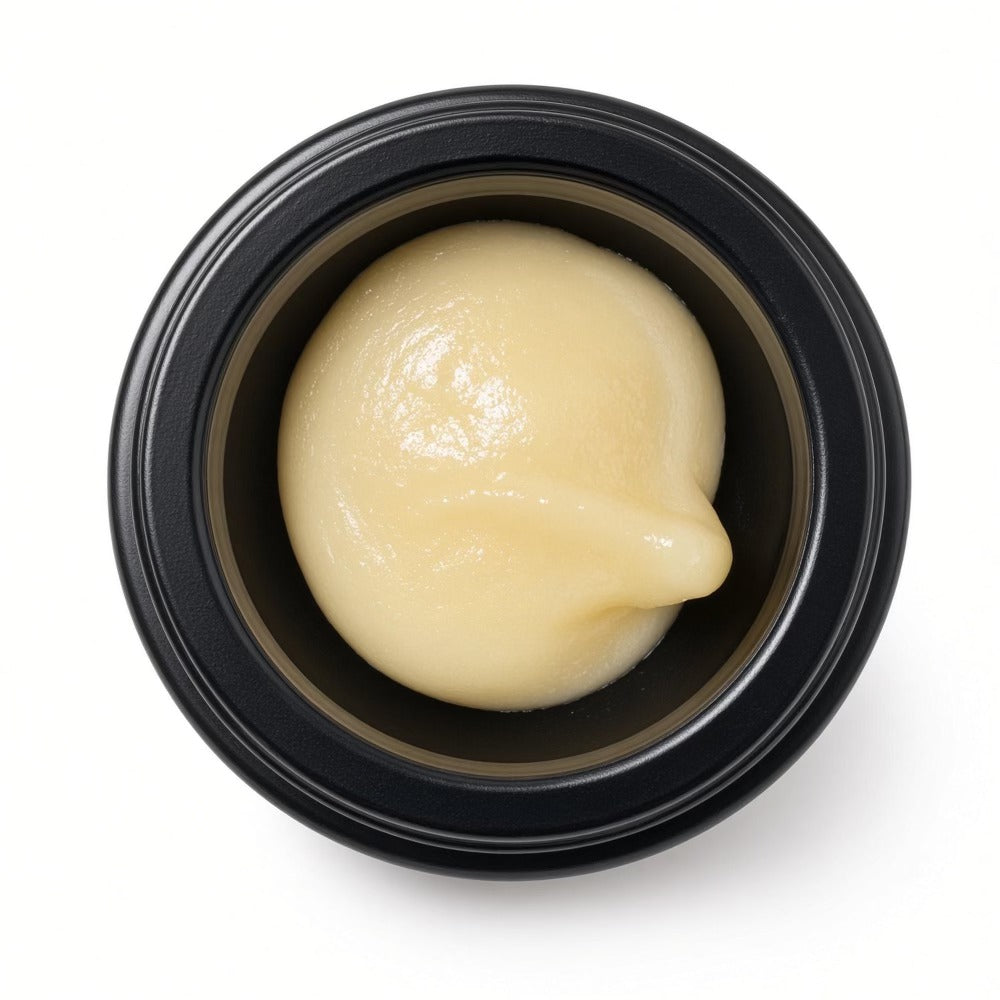 Starters Cold Cure Rosin Government Oasis open jar close up of rosin